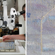 Illustration for article titled How a $12 Million Monet Was Repaired After Some Idiot Punched It